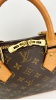 Louis Vuitton Alma PM Bag