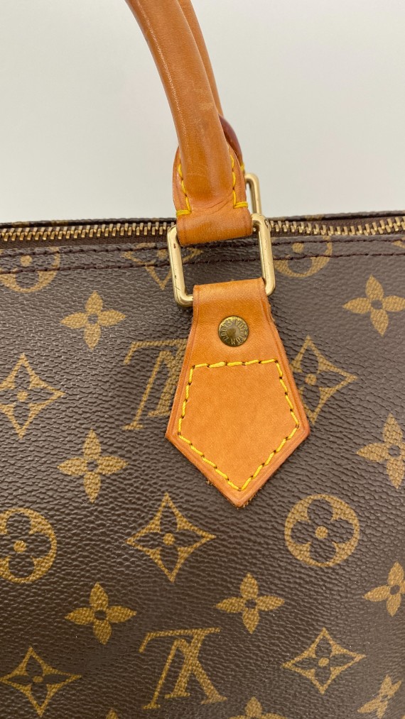 Hand Painted Louis Vuitton Speedy 35 garden Snake -  Norway