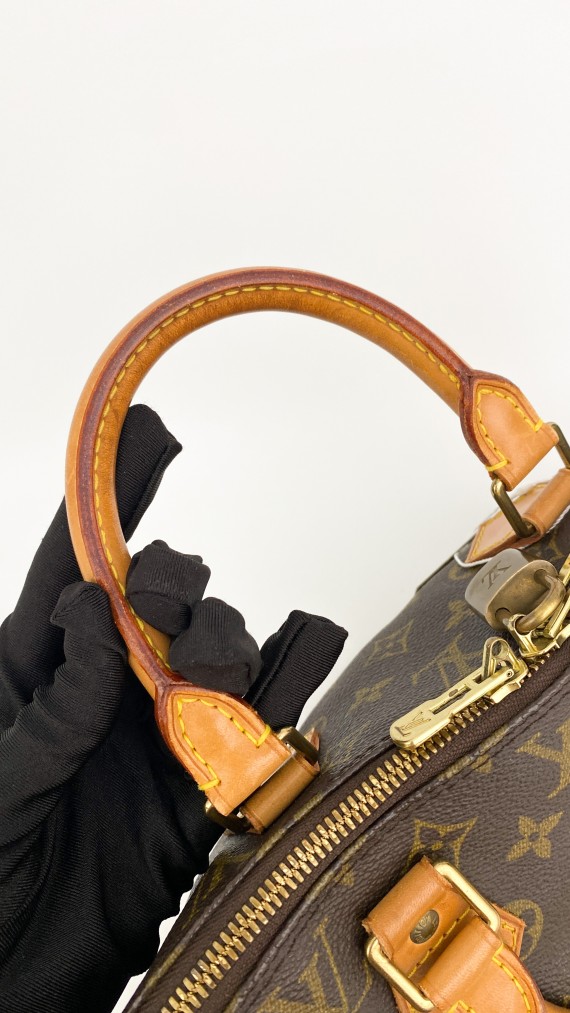 Louis Vuitton Alma PM Bag
