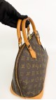 Louis Vuitton Alma PM Bag
