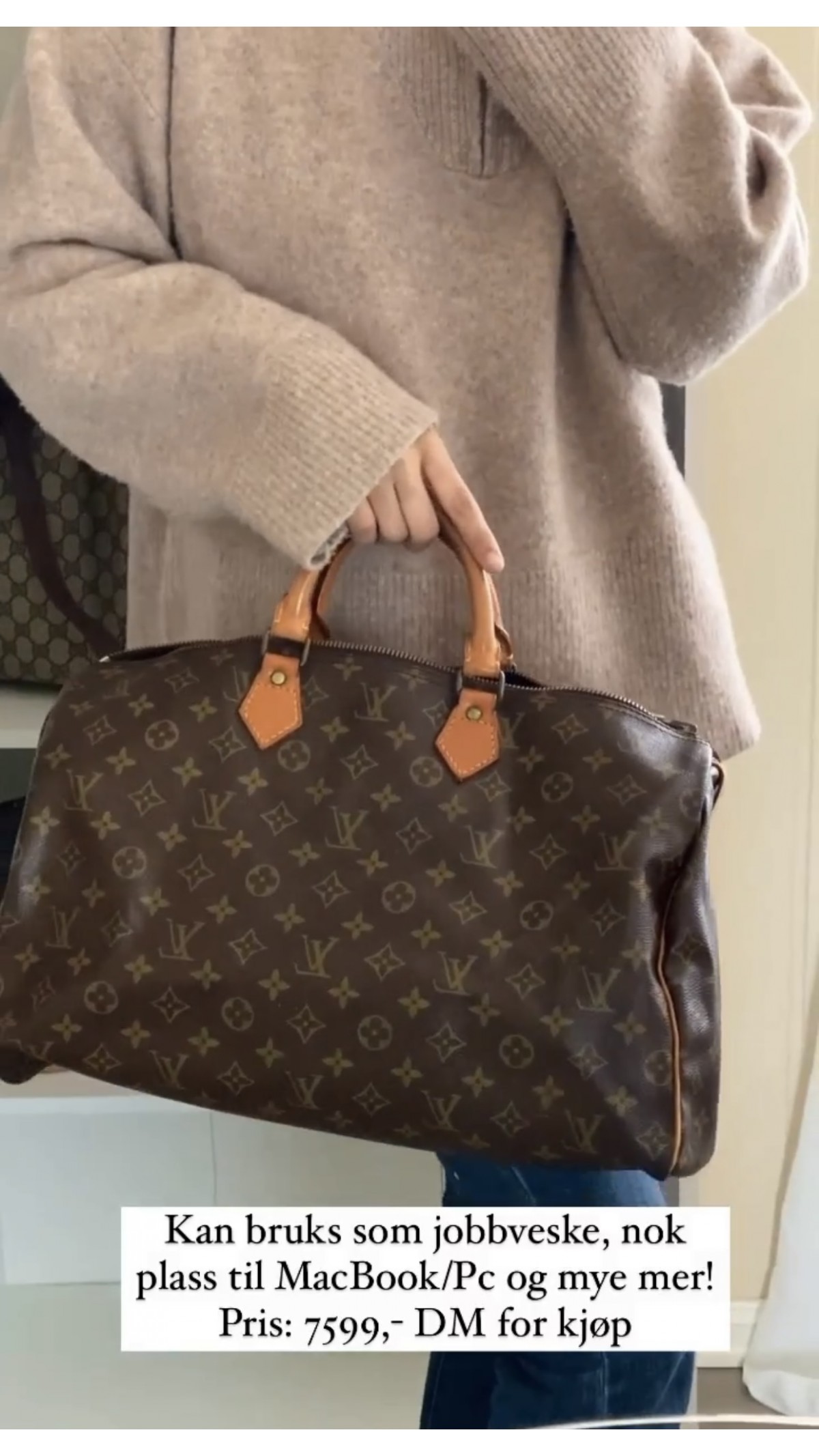 Louis Vuitton Speedy 40