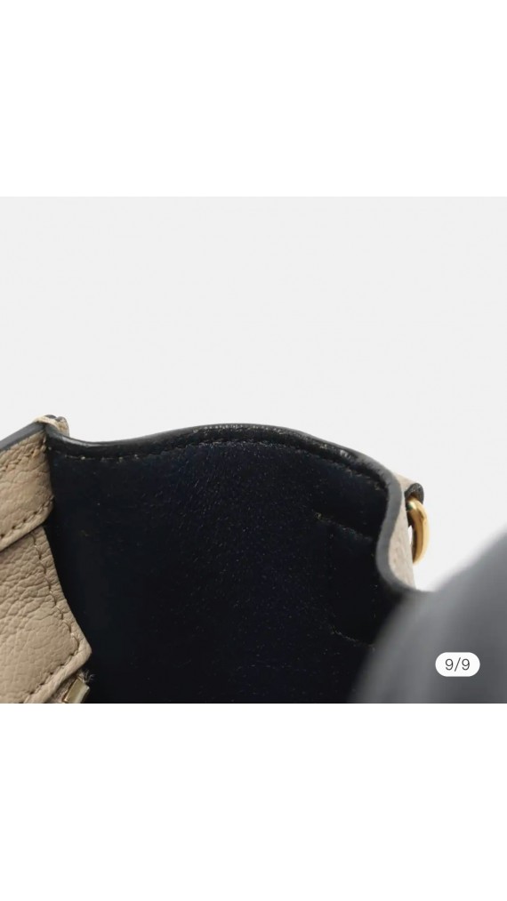 Celine Luggage Bag