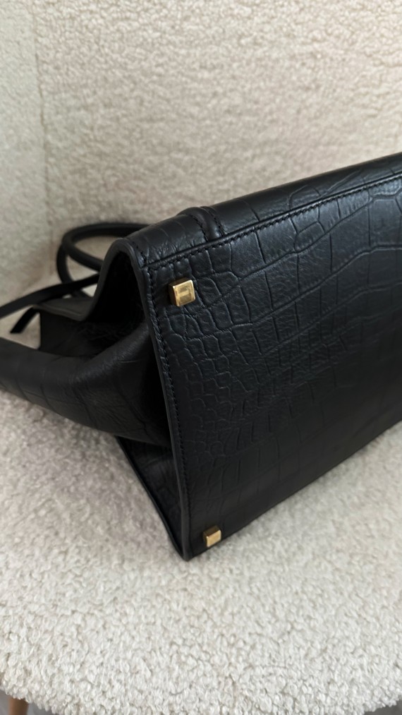 Celine Phantom Luggage Bag