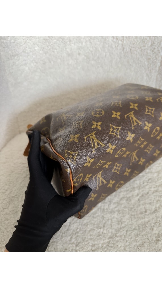 Louis Vuitton Speedy 25