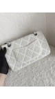 Chanel Classic Single Flap Limited Edition