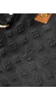 Louis Vuitton Citadine Tote Bag