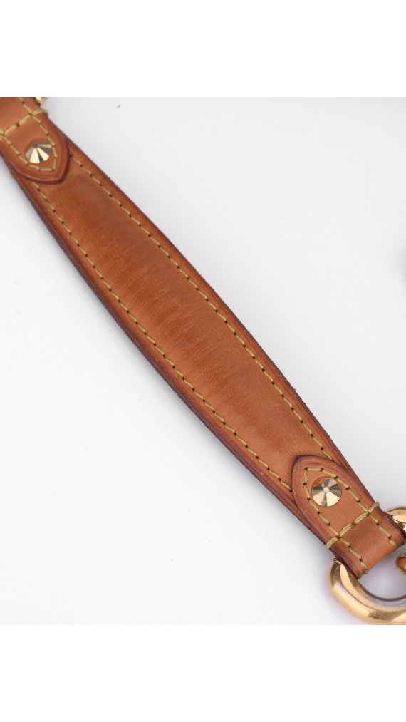 Louis Vuitton Multicolor Shoulder Bag