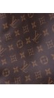 Louis Vuitton Monogram Shoulder bag