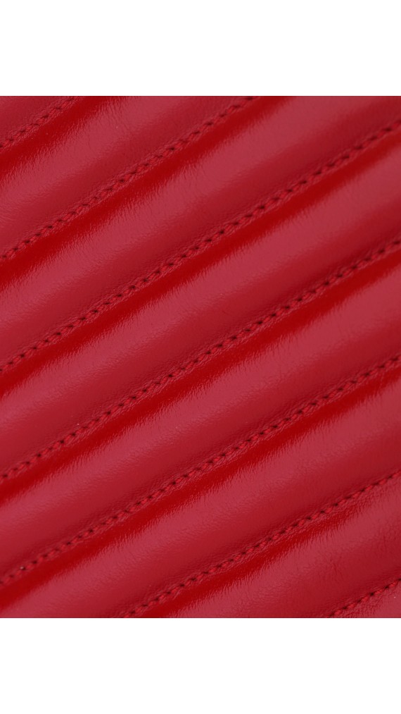 YSL Saint Laurent Camera Crossbody Bag