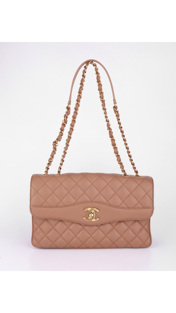 Chanel Sesonal Single Flap Bag