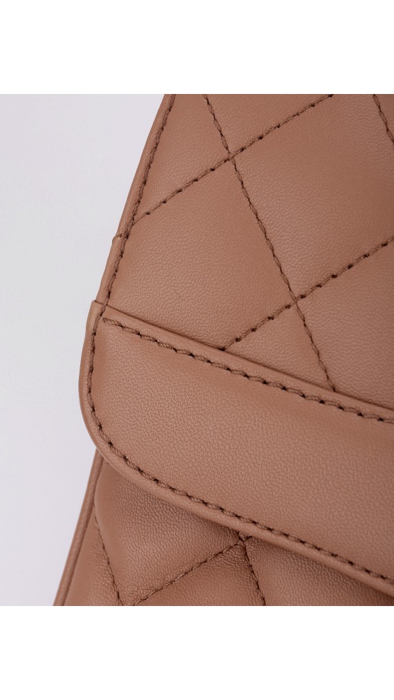 Chanel Sesonal Single Flap Bag