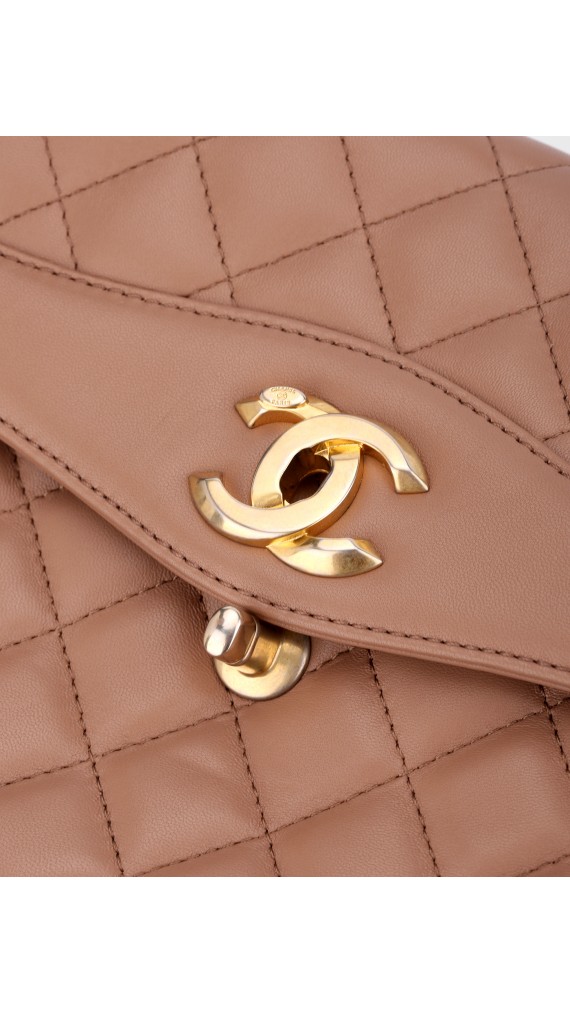 Chanel Sesonal Single Flap Bag