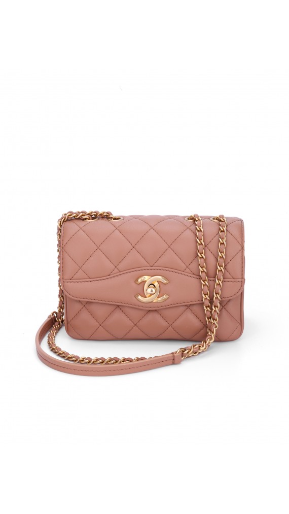 Chanel Single Flap Bag (Seasonal Limited Edition)