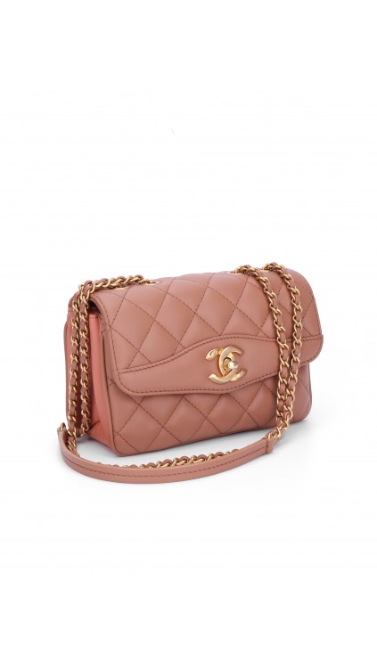 Chanel Single Flap Bag (Seasonal Limited Edition)