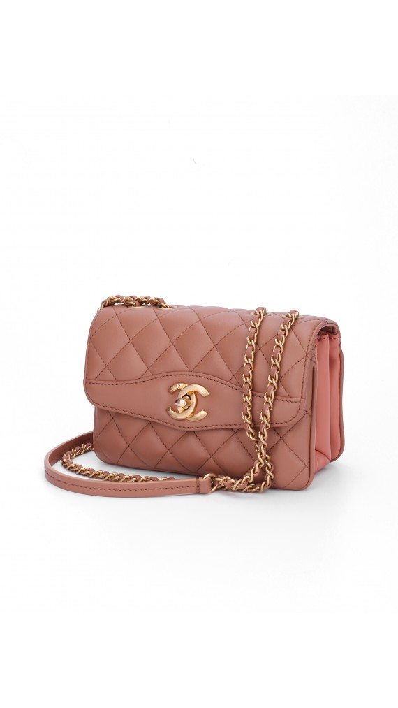 Chanel Single Flap Bag (Seasonal Limited Edition)