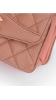 Chanel Single Flap Bag (Seasonal Limited Edition)