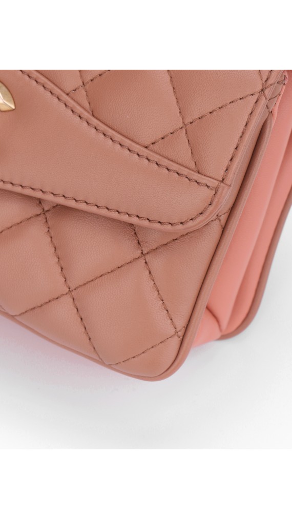 Chanel Single Flap Bag (Seasonal Limited Edition)