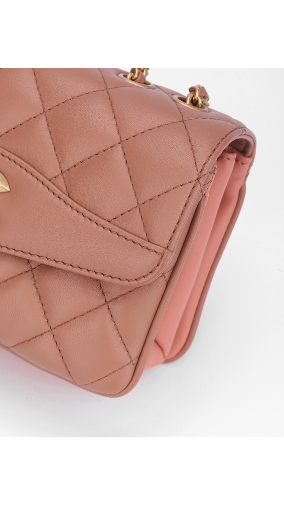 Chanel Single Flap Bag (Seasonal Limited Edition)