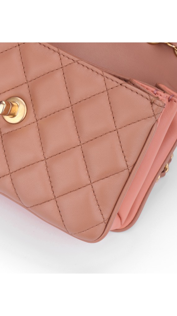 Chanel Single Flap Bag (Seasonal Limited Edition)