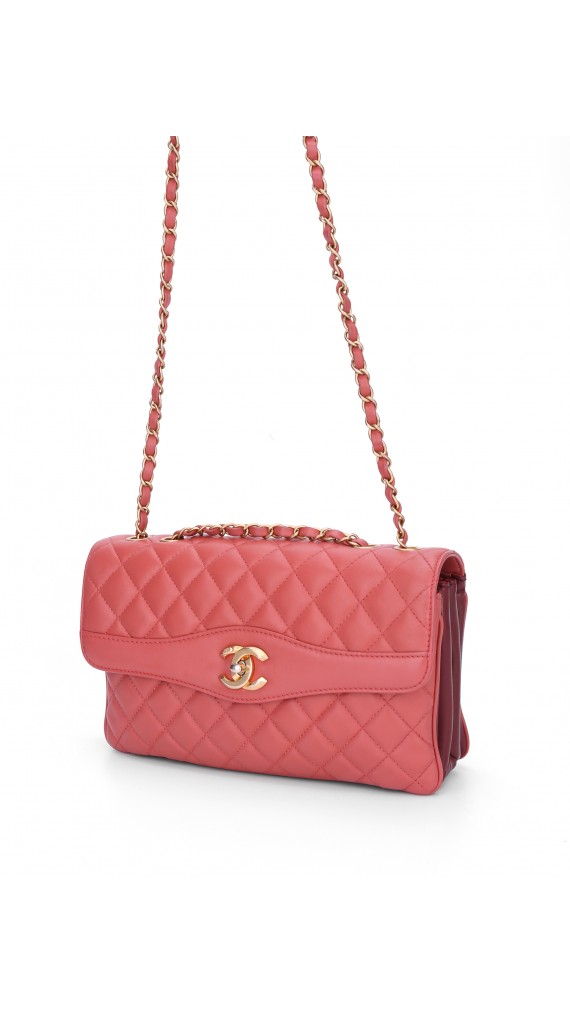 Chanel Single Flap Bag Seasonal Edition