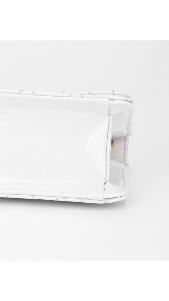 Chanel Evening Star East West Flap Bag