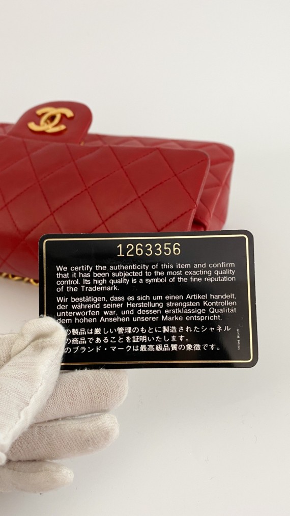 Chanel Classic Double Flap Bag Small