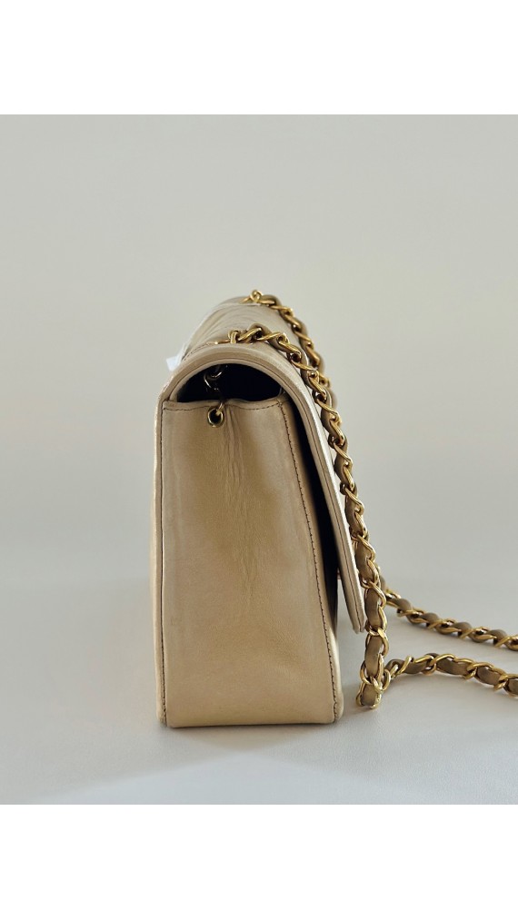 Chanel Diana Medium Shoulder bag