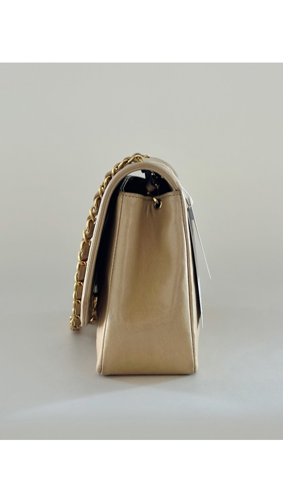 Chanel Diana Medium Shoulder bag