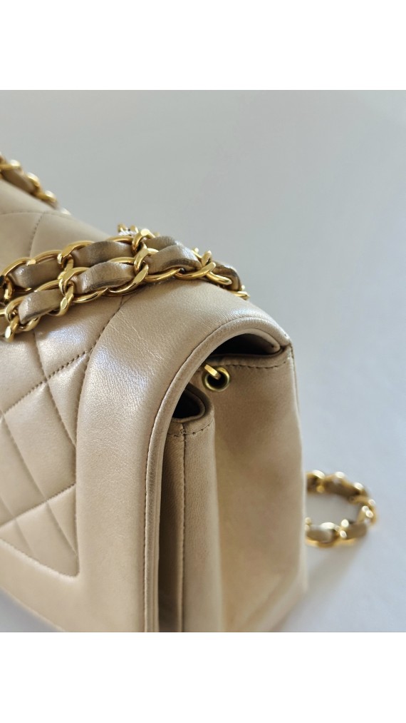 Chanel Diana Medium Shoulder bag