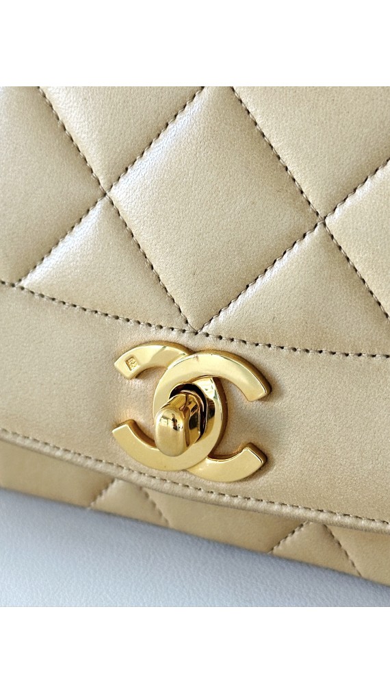 Chanel Diana Medium Shoulder bag