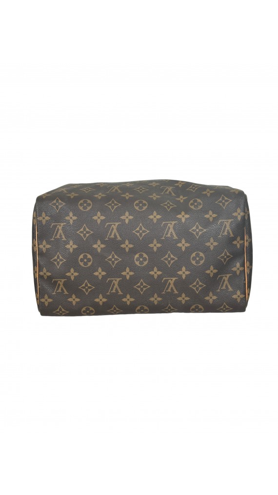 Louis Vuitton Speedy 30 Handbag