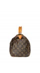 Louis Vuitton Speedy 30 Handbag