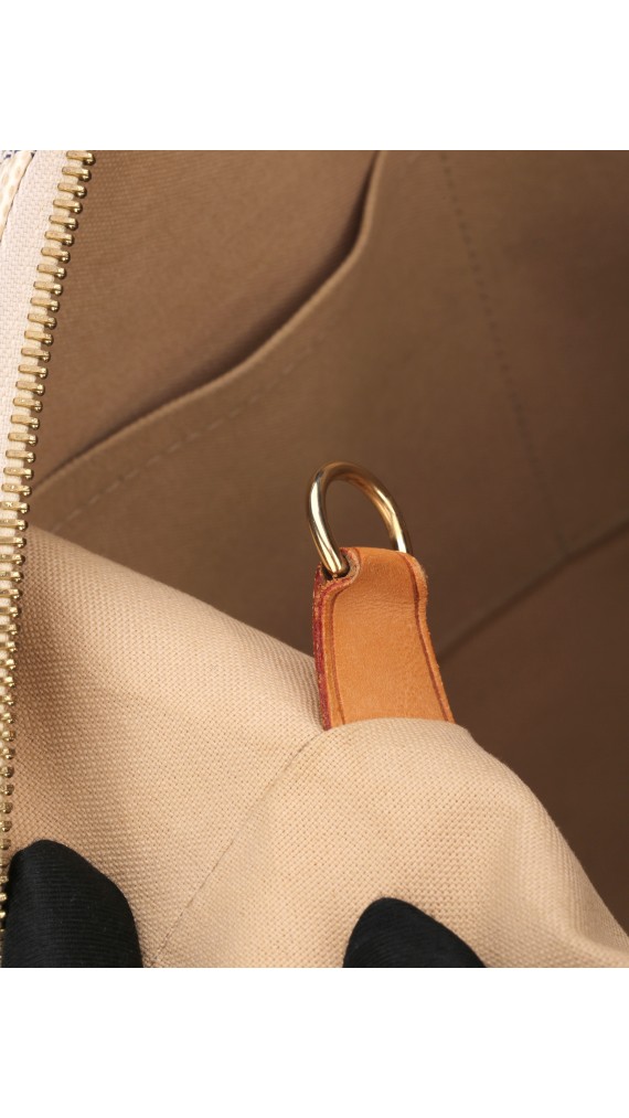 Louis Vuitton Damier Tote Bag