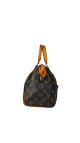 Louis Vuitton Speedy 25