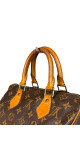 Louis Vuitton Speedy 25