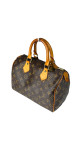 Louis Vuitton Speedy 25