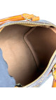 Louis Vuitton Speedy 25