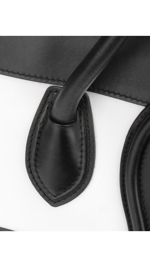 Celine Luggage Bag