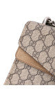 Gucci Dionysus Velvet Shoulder bag