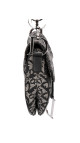 Vintage Dior Saddle Bag