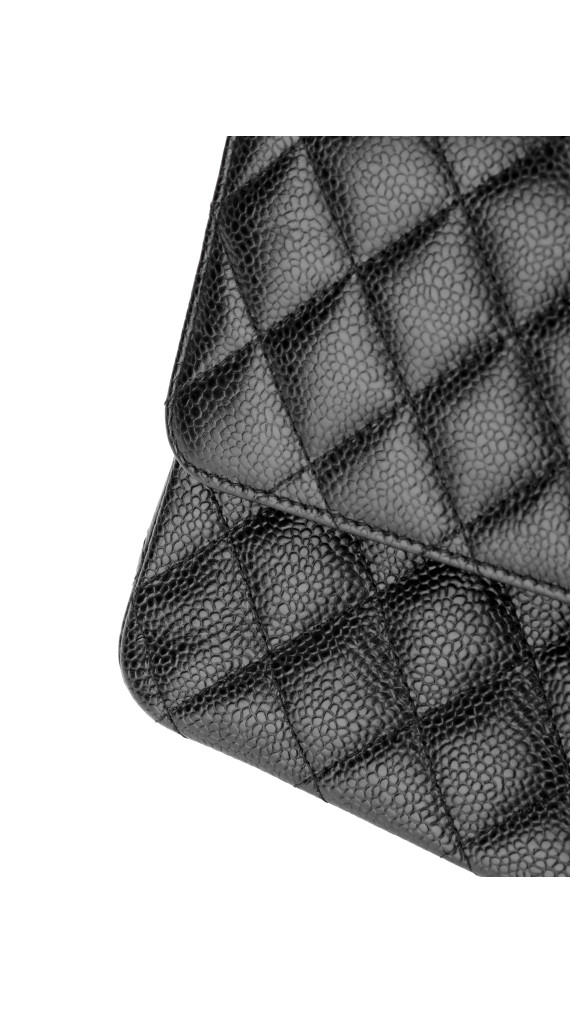 purse4