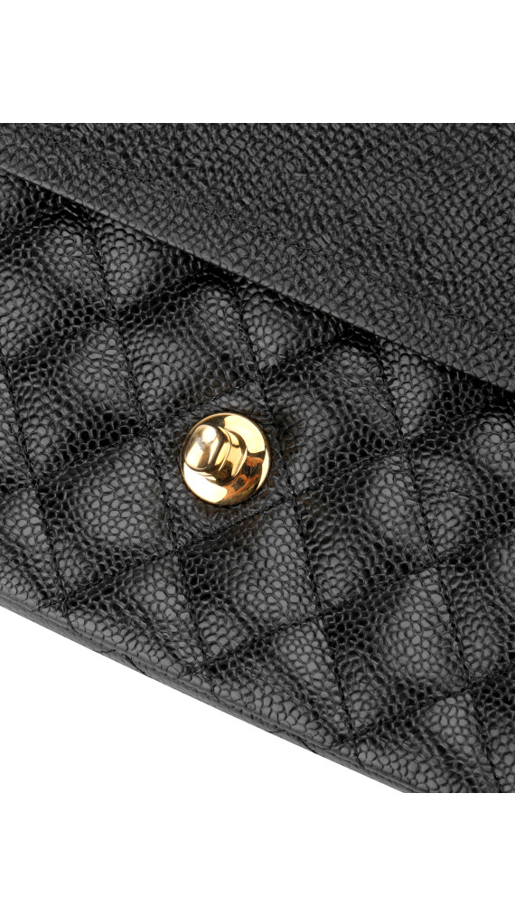 purse4