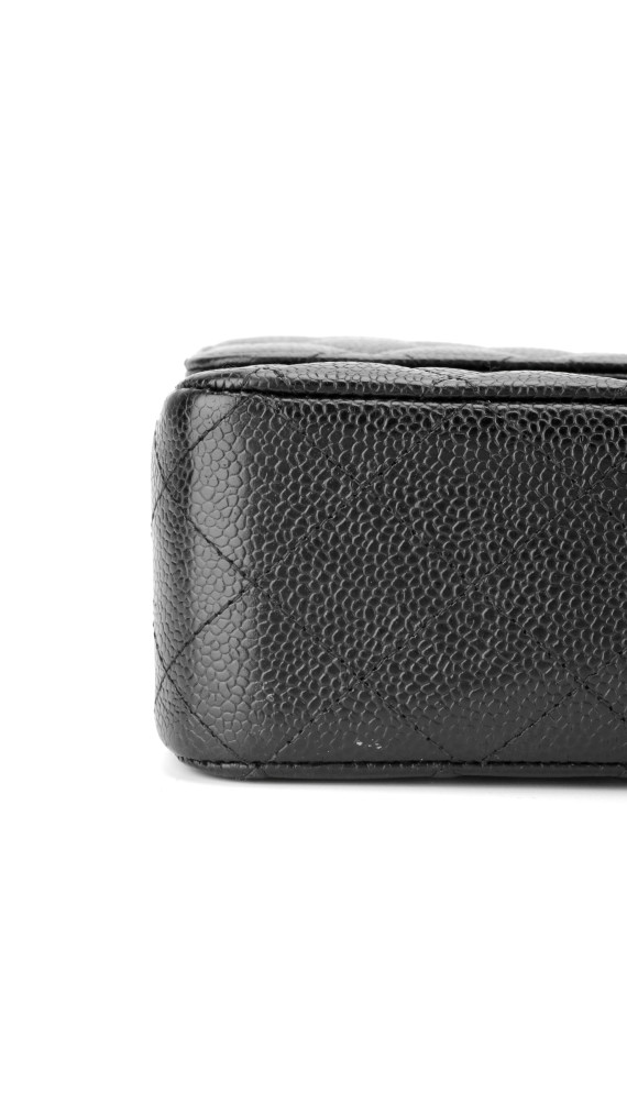 purse4