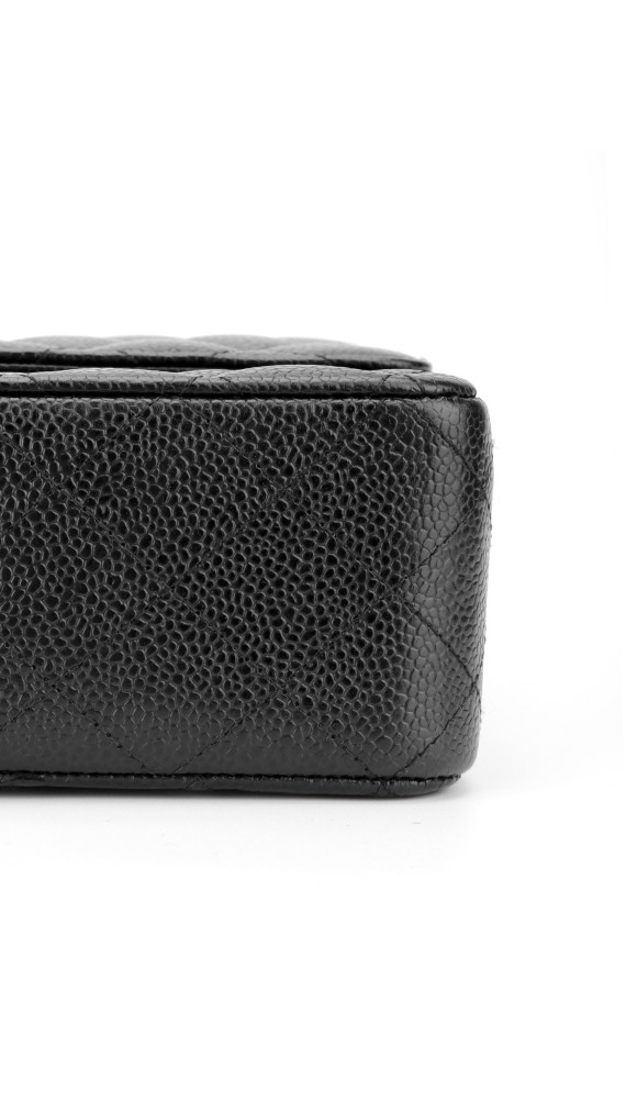 purse4