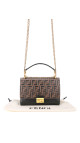 purse8