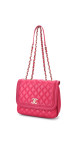 purse21
