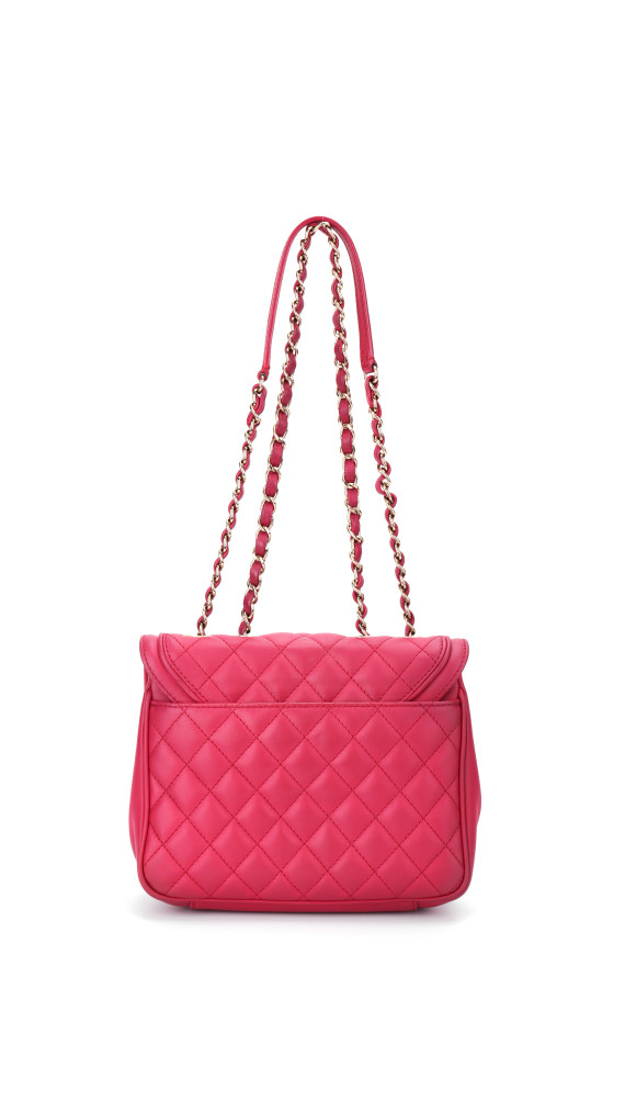 purse21