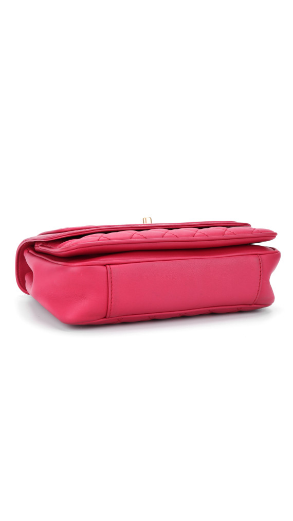 purse21