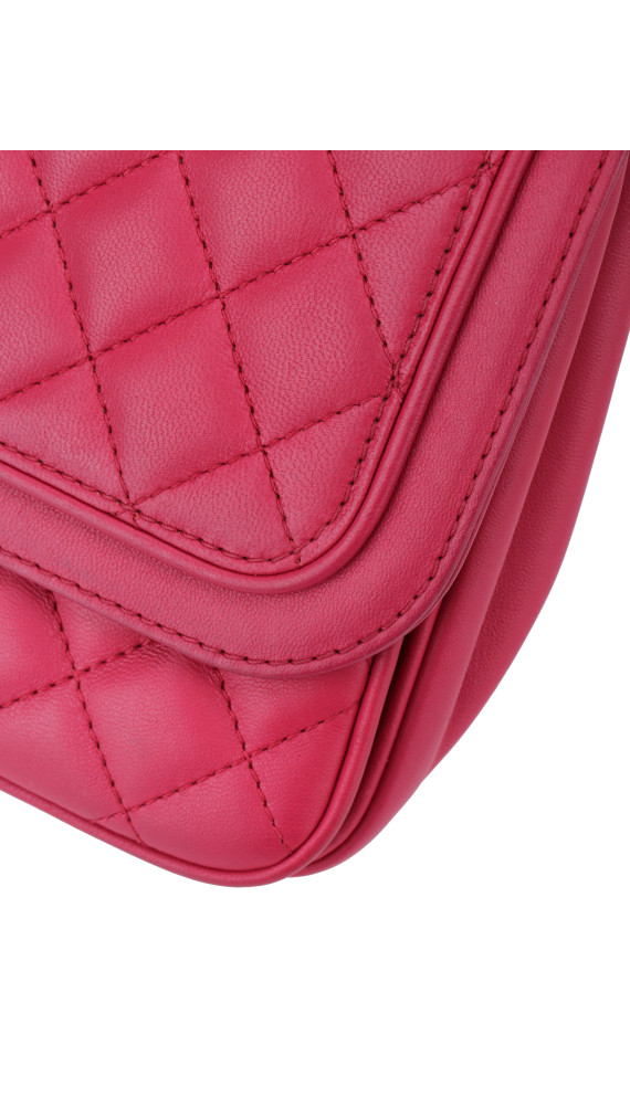 purse21