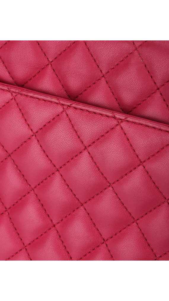 purse21